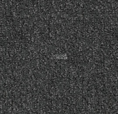 Forbo Coral Classic 4721 mouse grey фото 1 | FLOORDEALER